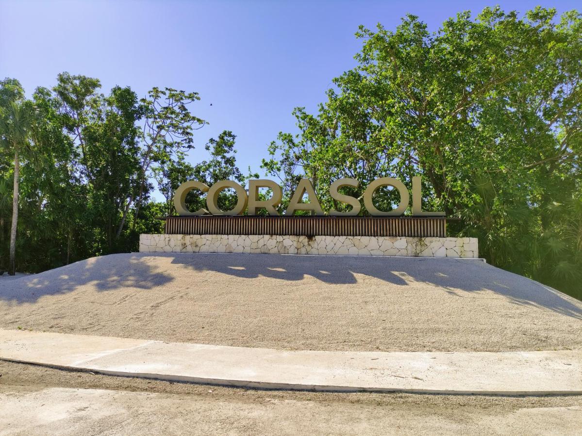 Lorena Ochoa - Corasol Playa del Carmen Dış mekan fotoğraf